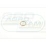 O-ring CNH 