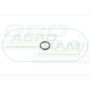 O-ring CNH 